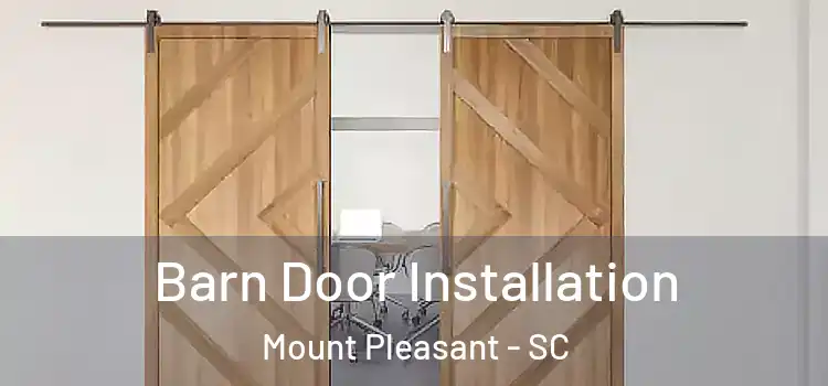  Barn Door Installation Mount Pleasant - SC