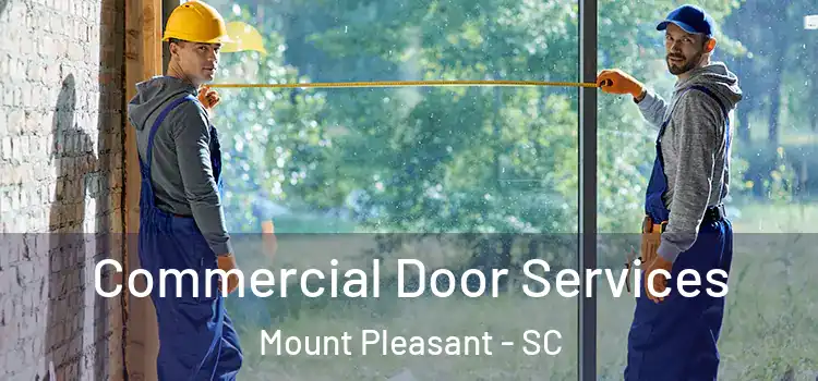 Commercial Door Services Mount Pleasant - SC