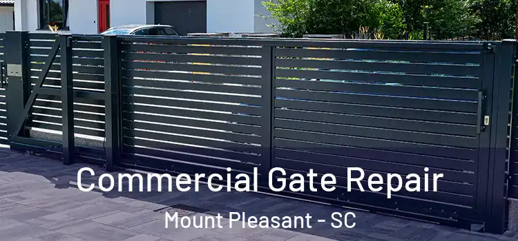  Commercial Gate Repair Mount Pleasant - SC