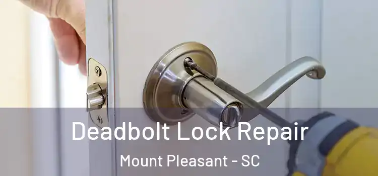  Deadbolt Lock Repair Mount Pleasant - SC