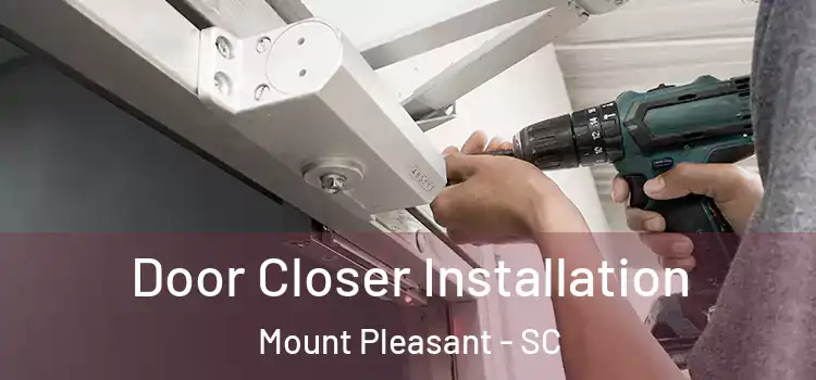  Door Closer Installation Mount Pleasant - SC