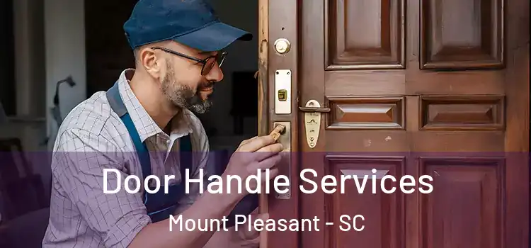  Door Handle Services Mount Pleasant - SC