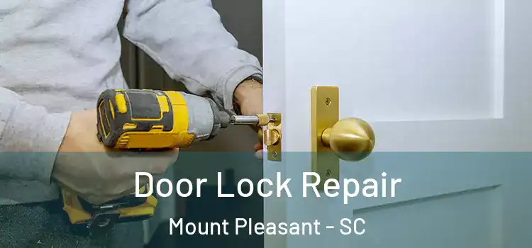  Door Lock Repair Mount Pleasant - SC