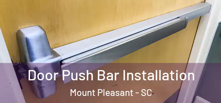  Door Push Bar Installation Mount Pleasant - SC