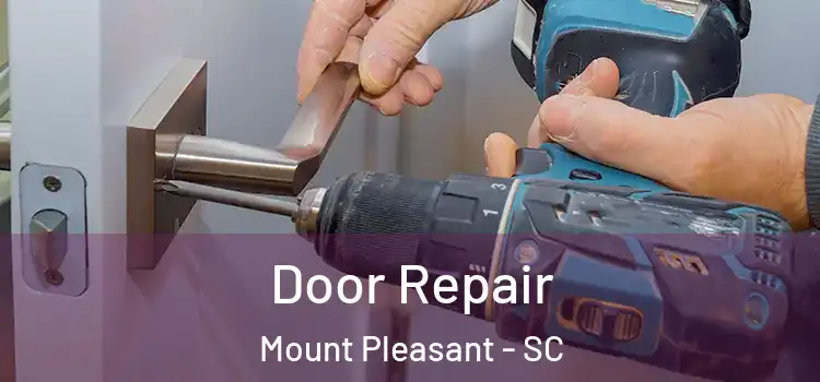 Door Repair Mount Pleasant - SC