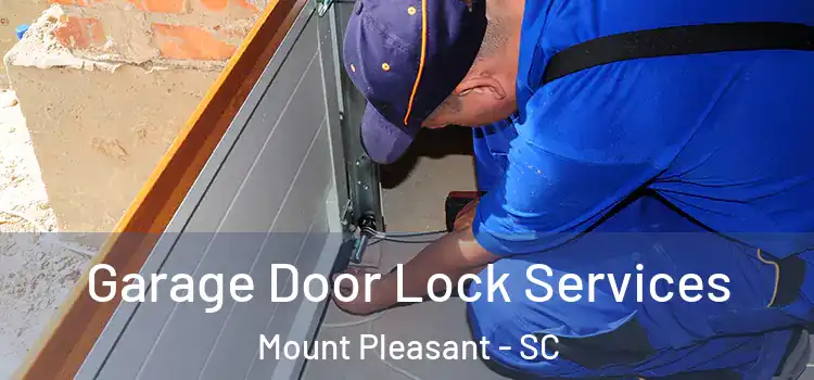 Garage Door Lock Services Mount Pleasant - SC