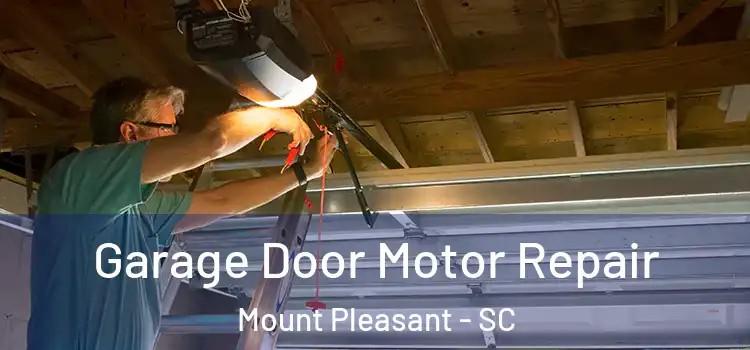  Garage Door Motor Repair Mount Pleasant - SC