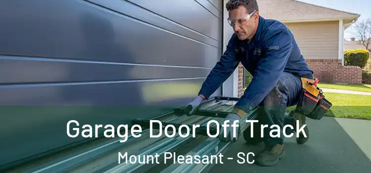  Garage Door Off Track Mount Pleasant - SC