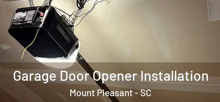  Garage Door Opener Installation Mount Pleasant - SC
