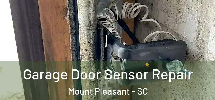  Garage Door Sensor Repair Mount Pleasant - SC