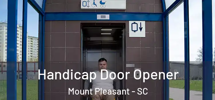  Handicap Door Opener Mount Pleasant - SC