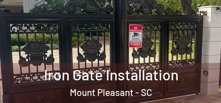  Iron Gate Installation Mount Pleasant - SC