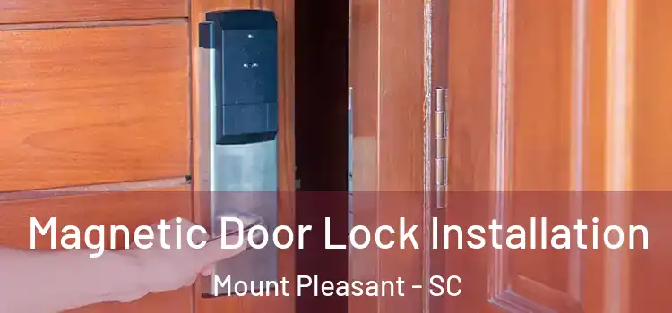 Magnetic Door Lock Installation Mount Pleasant - SC