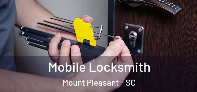 Mobile Locksmith Mount Pleasant - SC