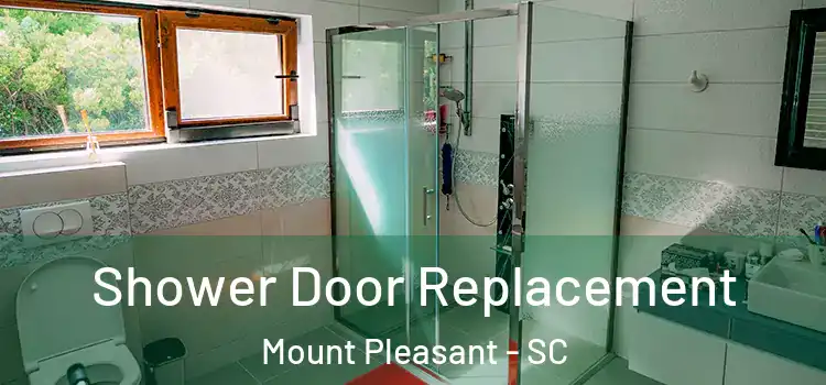  Shower Door Replacement Mount Pleasant - SC