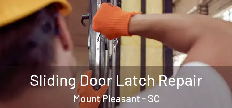  Sliding Door Latch Repair Mount Pleasant - SC