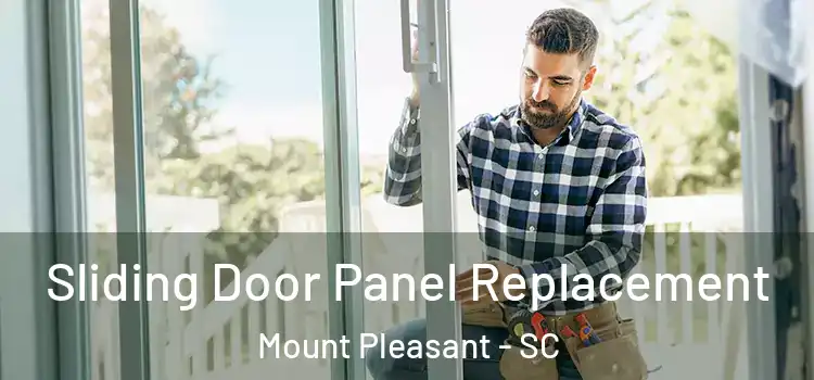  Sliding Door Panel Replacement Mount Pleasant - SC