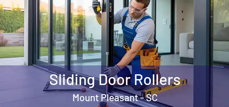  Sliding Door Rollers Mount Pleasant - SC