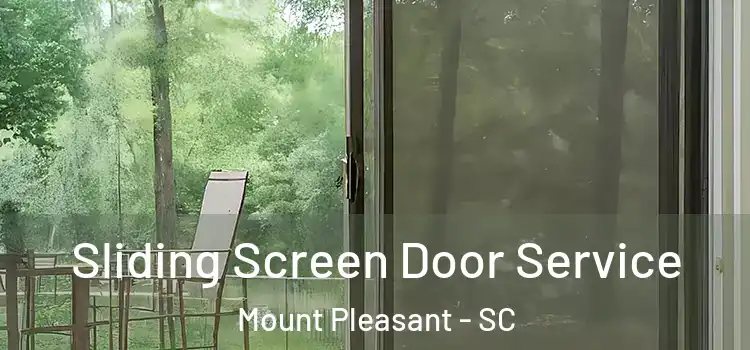  Sliding Screen Door Service Mount Pleasant - SC