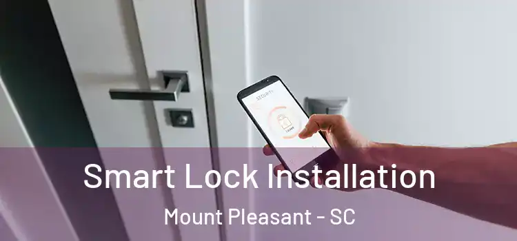  Smart Lock Installation Mount Pleasant - SC
